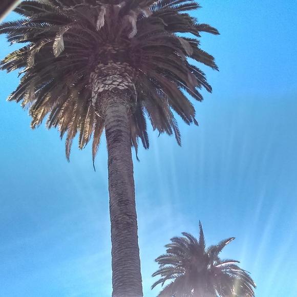 Meet your Posher, Vm - Picture 1 of 1